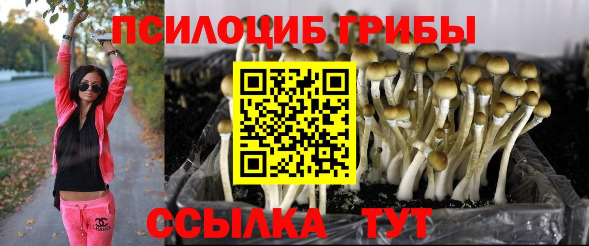 даркнет сайт  Псилоцибиновые грибы мухоморы  Галлюциногенные грибы мухоморы  Вход с VPN  Коркино 